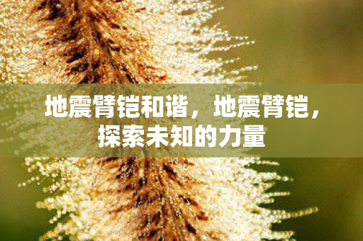 地震臂铠和谐，地震臂铠，探索未知的力量