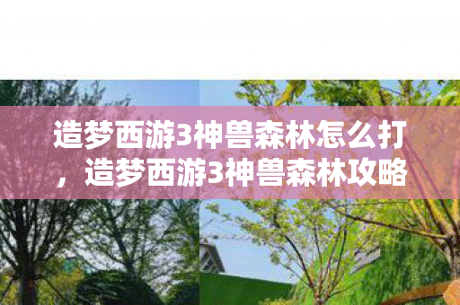 造梦西游3神兽森林怎么打，造梦西游3神兽森林攻略，挑战与策略