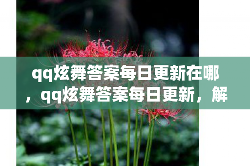 qq炫舞答案每日更新在哪，qq炫舞答案每日更新，解锁游戏新挑战，提升你的舞蹈技巧