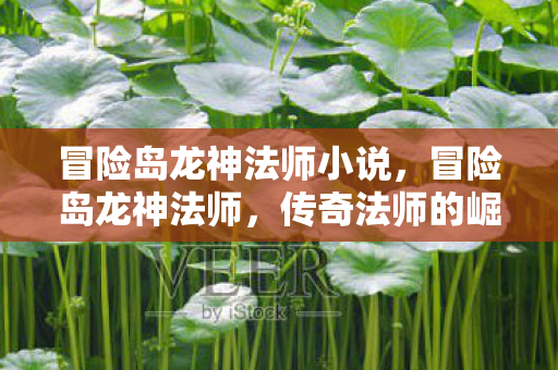 冒险岛龙神法师小说，冒险岛龙神法师，传奇法师的崛起与荣耀