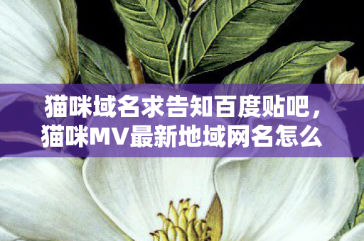 猫咪域名求告知百度贴吧，猫咪MV最新地域网名怎么取？
