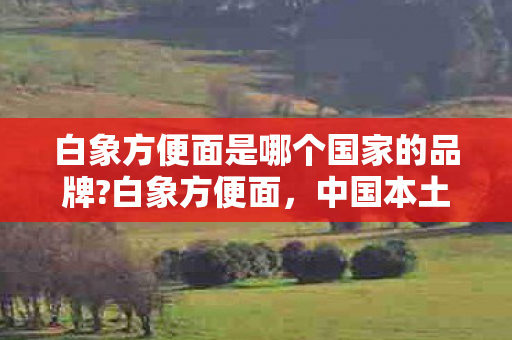 白象方便面是哪个国家的品牌?白象方便面，中国本土品牌的崛起