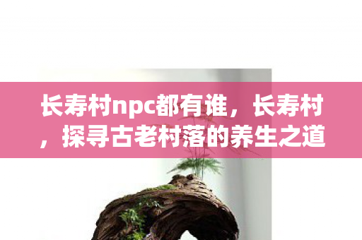 长寿村npc都有谁，长寿村，探寻古老村落的养生之道