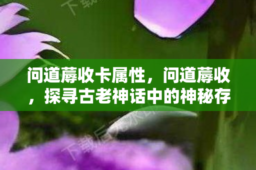 问道蓐收卡属性，问道蓐收，探寻古老神话中的神秘存在
