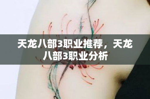 天龙八部3职业推荐，天龙八部3职业分析