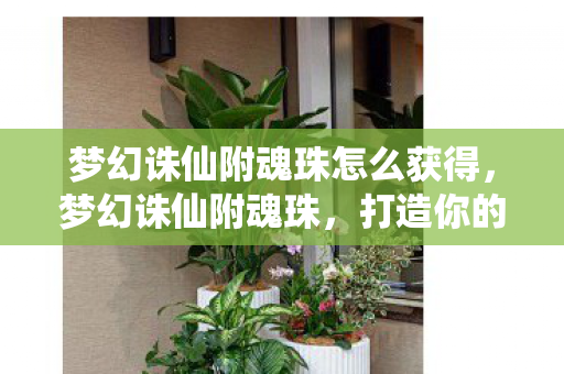梦幻诛仙附魂珠怎么获得，梦幻诛仙附魂珠，打造你的专属神器