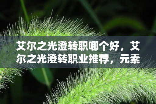 艾尔之光澄转职哪个好，艾尔之光澄转职业推荐，元素领主