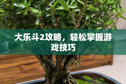 大乐斗2攻略，轻松掌握游戏技巧