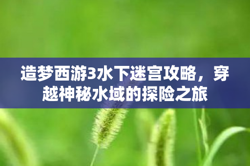 造梦西游3水下迷宫攻略，穿越神秘水域的探险之旅