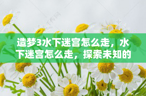 造梦3水下迷宫怎么走，水下迷宫怎么走，探索未知的水下世界