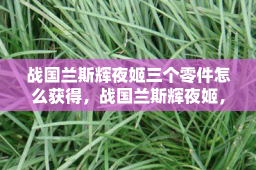 战国兰斯辉夜姬三个零件怎么获得，战国兰斯辉夜姬，探索古老传说中的神秘女子