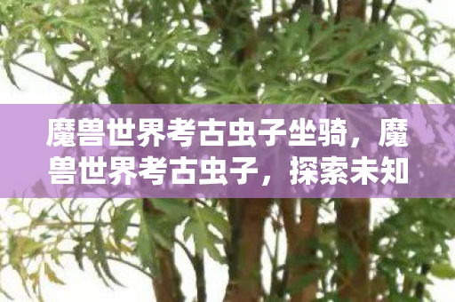 魔兽世界考古虫子坐骑，魔兽世界考古虫子，探索未知世界的奇妙旅程