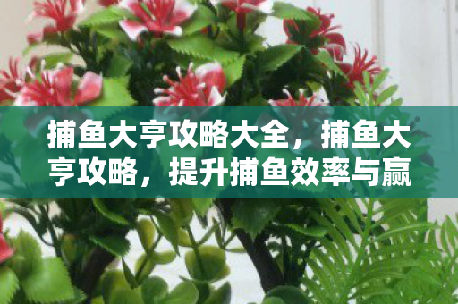 捕鱼大亨攻略大全，捕鱼大亨攻略，提升捕鱼效率与赢率的实战技巧