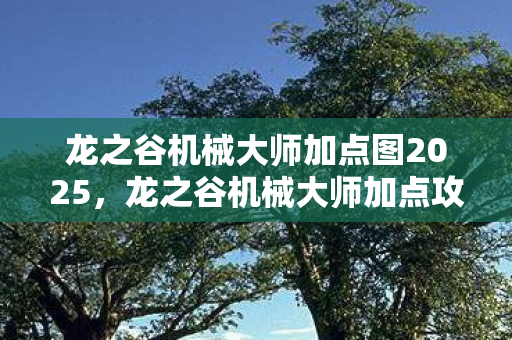 龙之谷机械大师加点图2025，龙之谷机械大师加点攻略，打造高效战斗机器