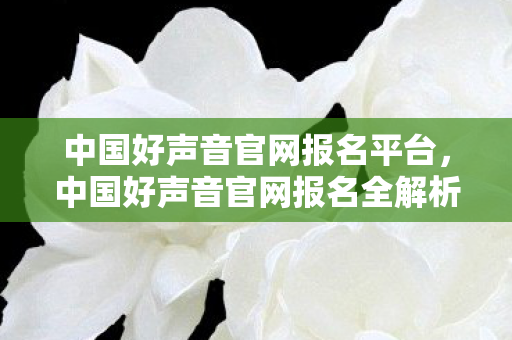 中国好声音官网报名平台，中国好声音官网报名全解析，梦想舞台的起点