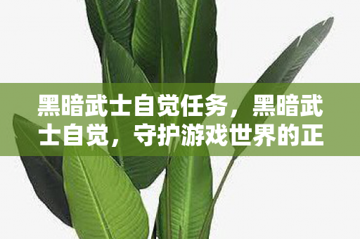 黑暗武士自觉任务，黑暗武士自觉，守护游戏世界的正义与秩序
