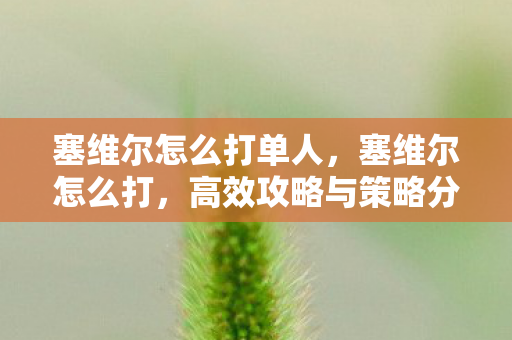 塞维尔怎么打单人，塞维尔怎么打，高效攻略与策略分享