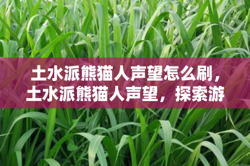土水派熊猫人声望怎么刷，土水派熊猫人声望，探索游戏世界的独特魅力