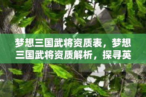梦想三国武将资质表，梦想三国武将资质解析，探寻英雄背后的力量