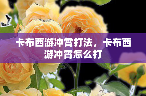卡布西游冲霄打法，卡布西游冲霄怎么打