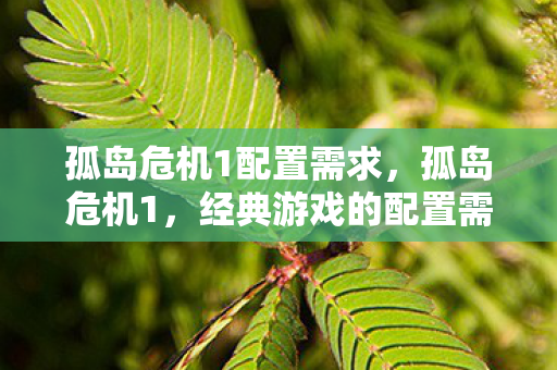 孤岛危机1配置需求，孤岛危机1，经典游戏的配置需求与体验