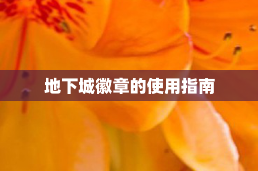 地下城徽章的使用指南