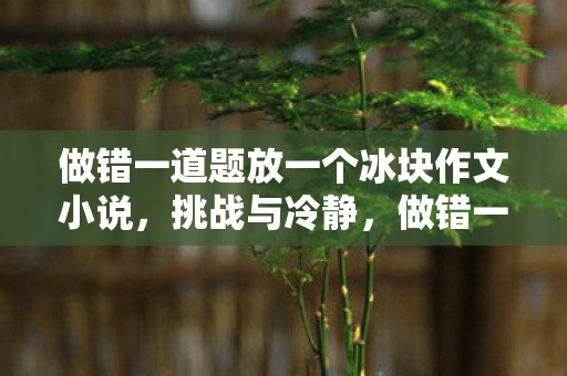 做错一道题放一个冰块作文小说，挑战与冷静，做错一题，放置一块冰的奇妙之旅