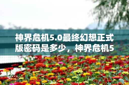 神界危机5.0最终幻想正式版密码是多少，神界危机5.0，解锁最终幻想正式版的神秘密码