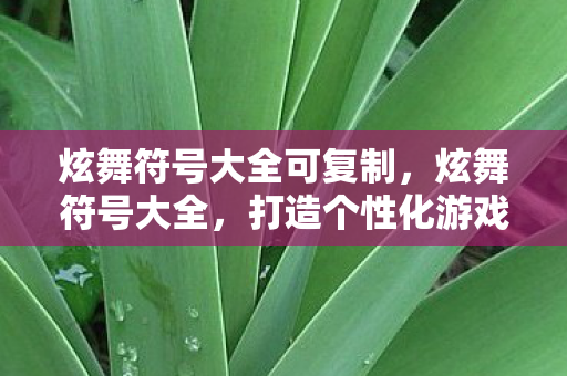 炫舞符号大全可复制，炫舞符号大全，打造个性化游戏世界的秘籍