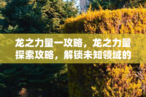 龙之力量一攻略，龙之力量探索攻略，解锁未知领域的力量