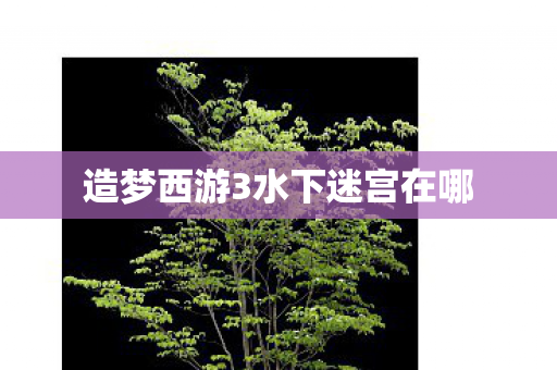 造梦西游3水下迷宫在哪