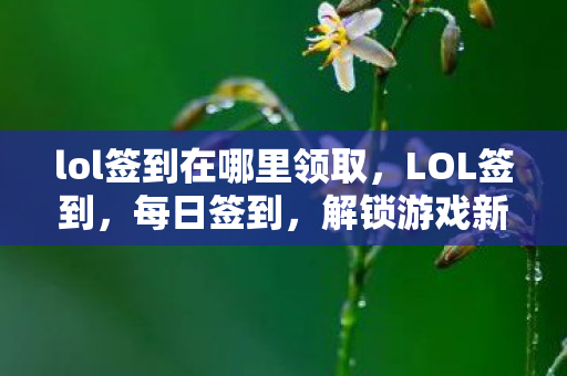 lol签到在哪里领取，LOL签到，每日签到，解锁游戏新体验