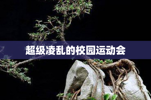 超级凌乱的校园运动会