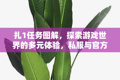 扎1任务图解，探索游戏世界的多元体验，私服与官方服务器的差异与共存