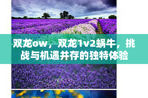 双龙ow，双龙1v2蜗牛，挑战与机遇并存的独特体验