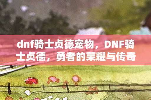 dnf骑士贞德宠物，DNF骑士贞德，勇者的荣耀与传奇