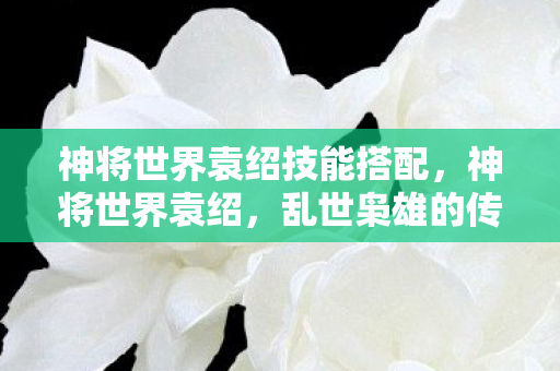 神将世界袁绍技能搭配，神将世界袁绍，乱世枭雄的传奇之路