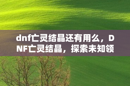 dnf亡灵结晶还有用么，DNF亡灵结晶，探索未知领域的神秘力量