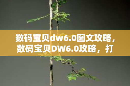 数码宝贝dw6.0图文攻略，数码宝贝DW6.0攻略，打造最强战斗阵容