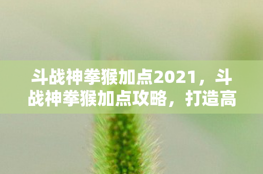 斗战神拳猴加点2021，斗战神拳猴加点攻略，打造高效战斗猴王