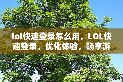 lol快速登录怎么用，LOL快速登录，优化体验，畅享游戏乐趣