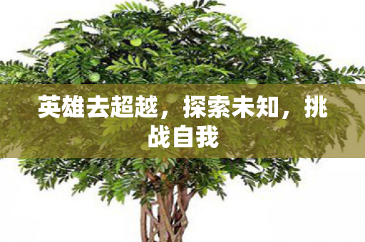 英雄去超越，探索未知，挑战自我