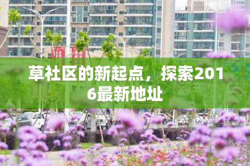 草社区的新起点，探索2016最新地址