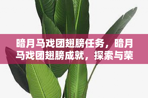 暗月马戏团翅膀任务，暗月马戏团翅膀成就，探索与荣耀的旅程