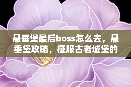 悬垂堡最后boss怎么去，悬垂堡攻略，征服古老城堡的完全指南
