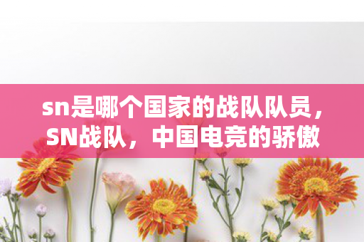 sn是哪个国家的战队队员，SN战队，中国电竞的骄傲