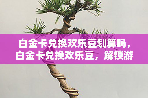 白金卡兑换欢乐豆划算吗，白金卡兑换欢乐豆，解锁游戏新乐趣的便捷途径