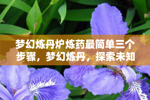 梦幻炼丹炉炼药最简单三个步骤，梦幻炼丹，探索未知世界的神秘之旅