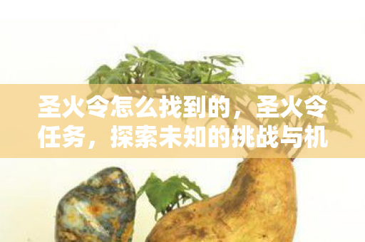 圣火令怎么找到的，圣火令任务，探索未知的挑战与机遇