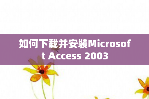 如何下载并安装Microsoft Access 2003